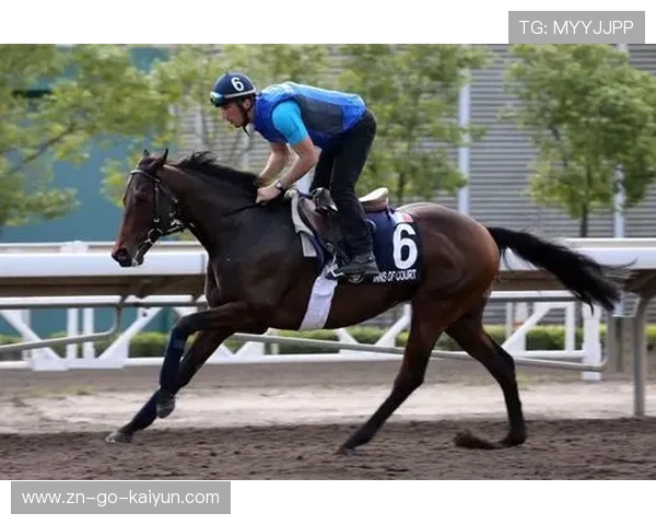 国际马术联合会试点动物福利监测，心率传感器追踪马匹